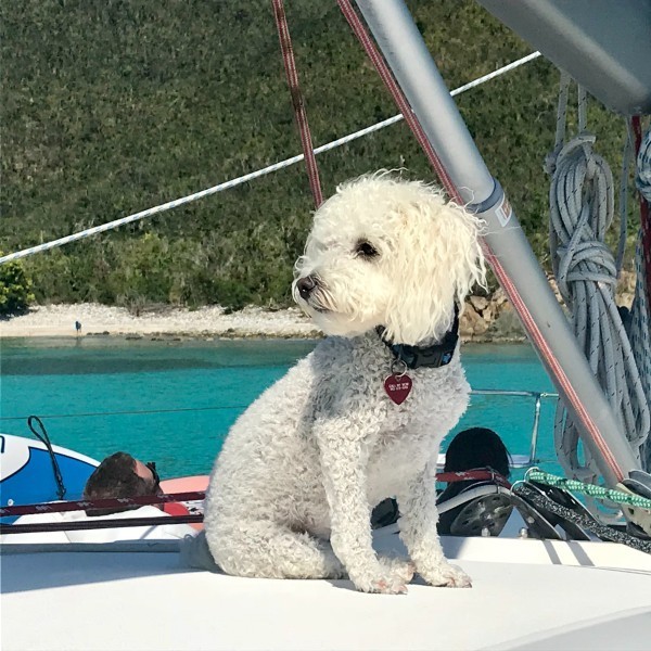 Second Mate & Mascot: Sailor