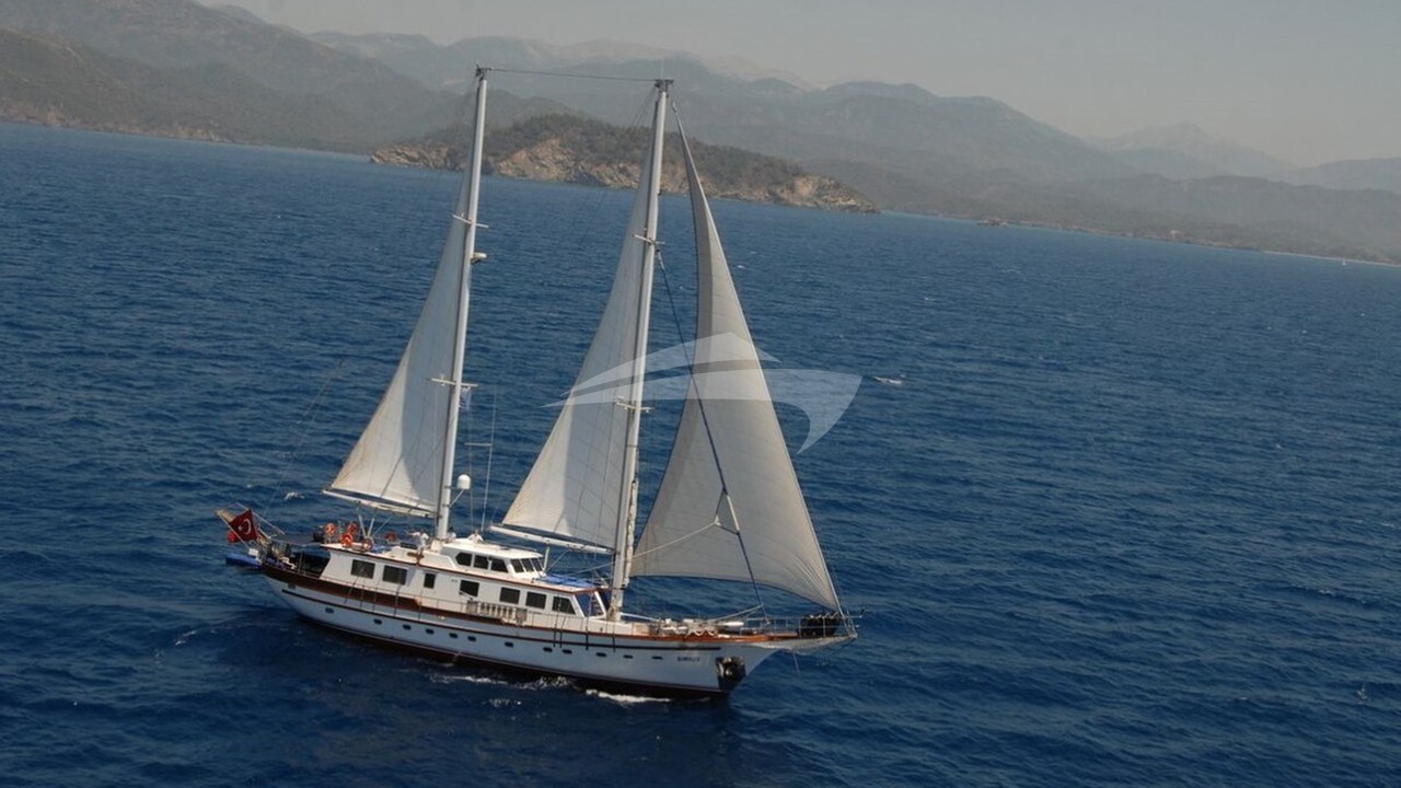 main image of SIRIUS