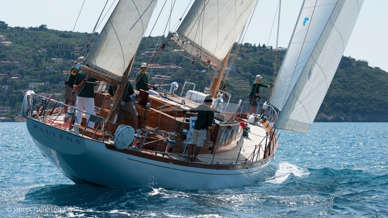 main image of PAULENA