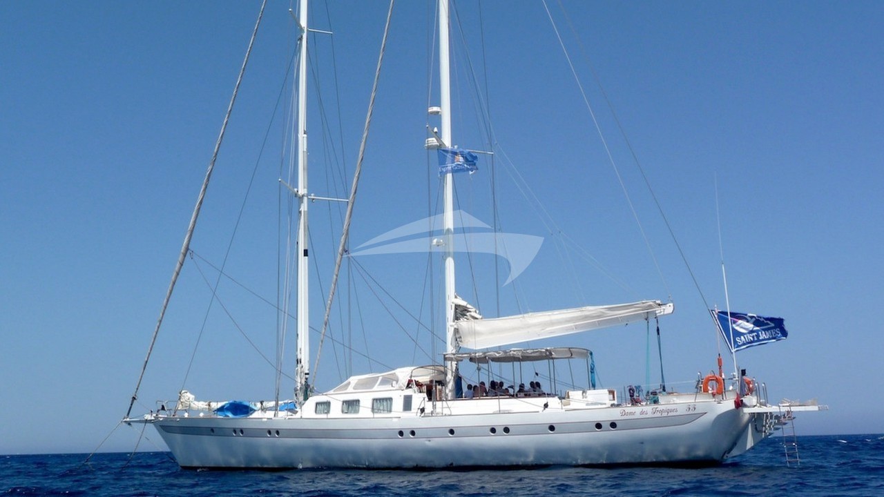 main image of DAME DES TROPIQUES
