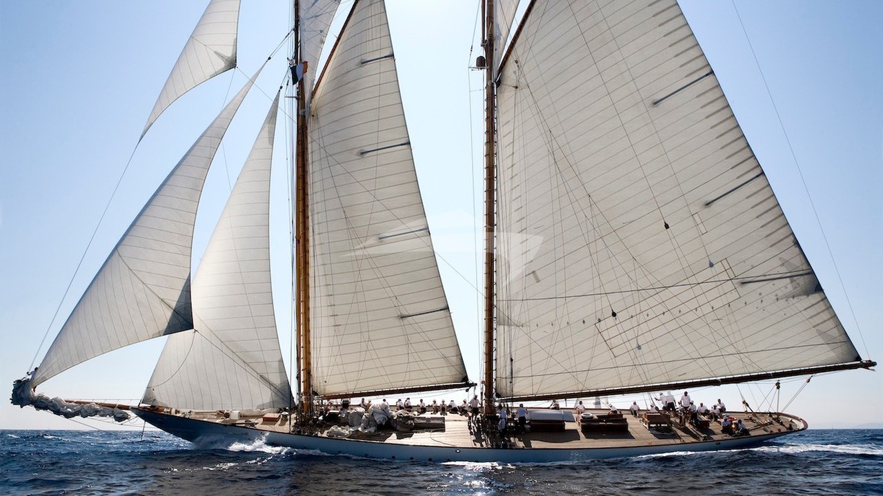 main image of ELEONORA