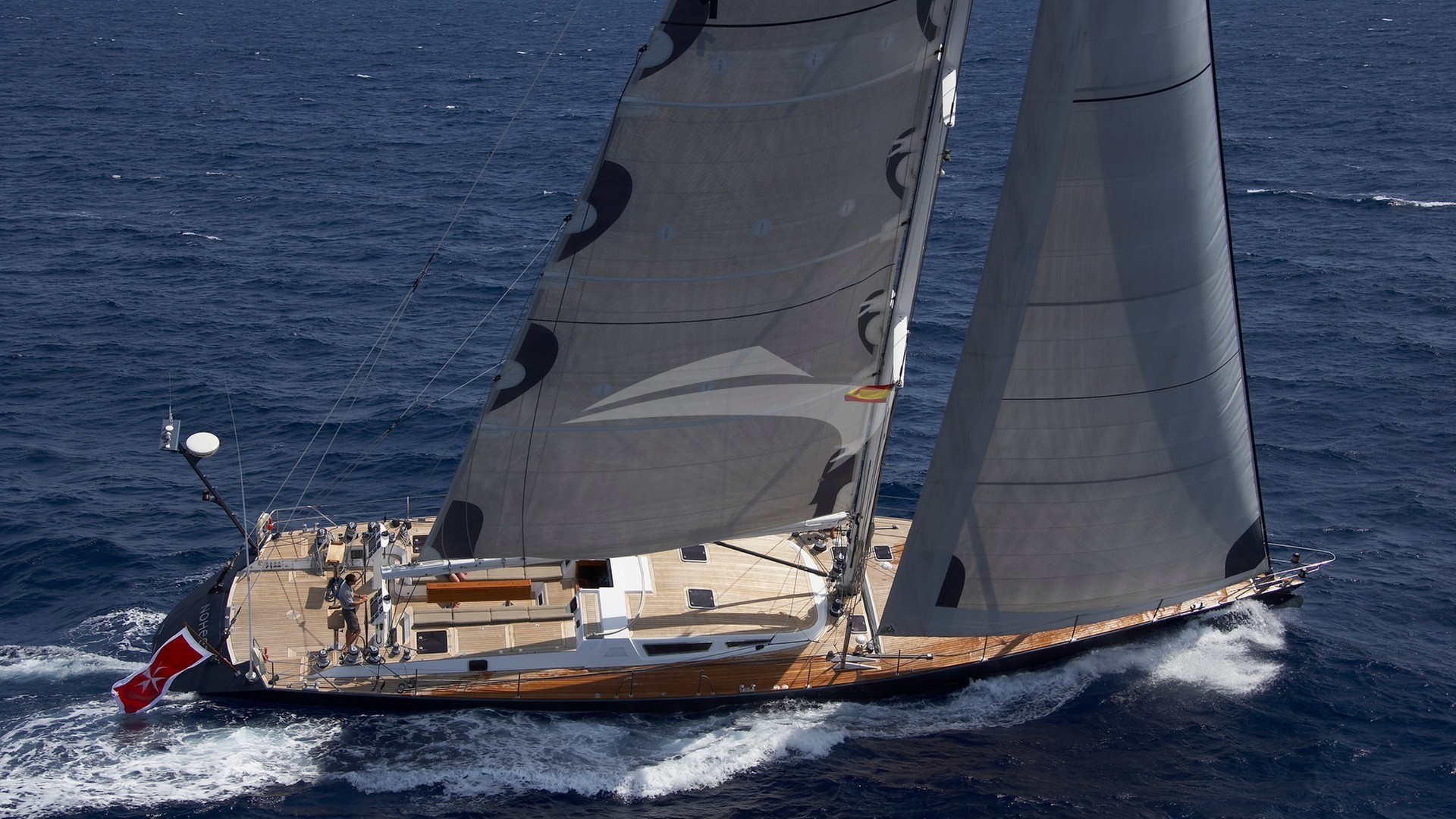 main image of NOHEEA