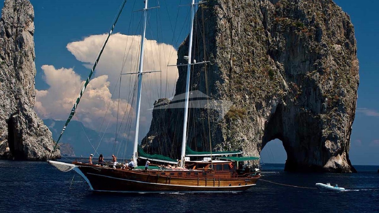 main image of DERIYA DENIZ