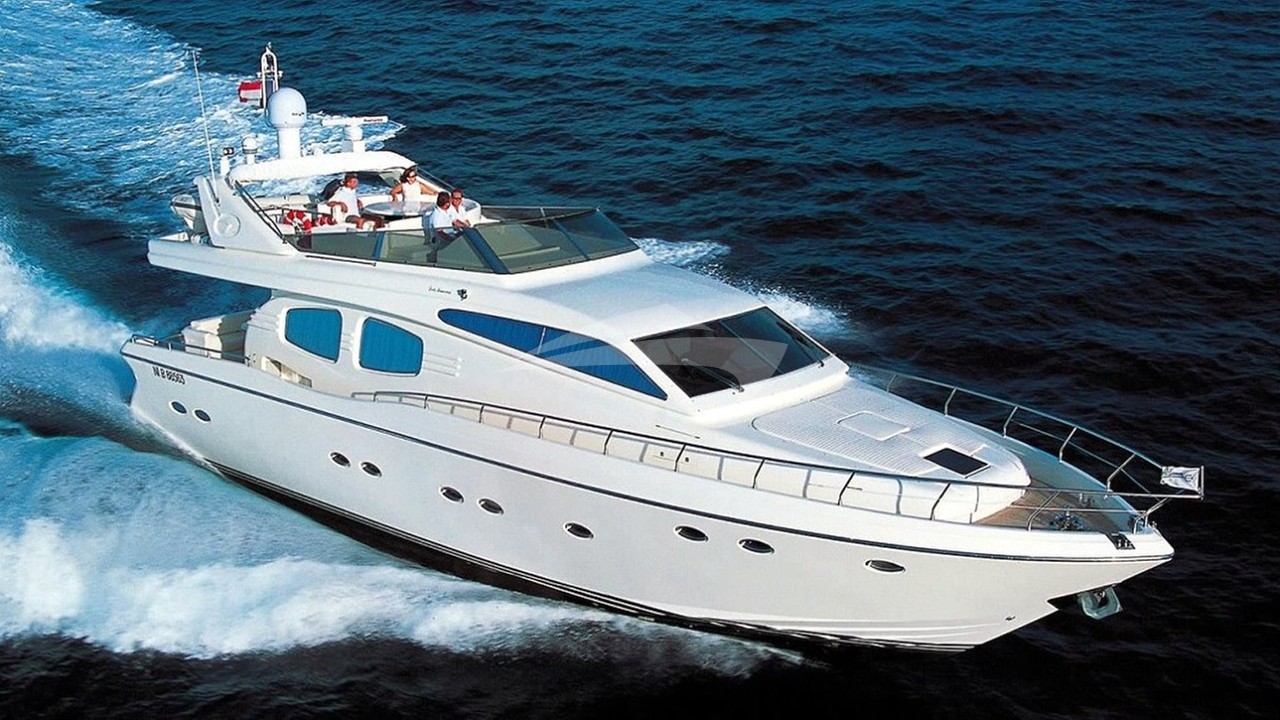 main image of ALBATROS
