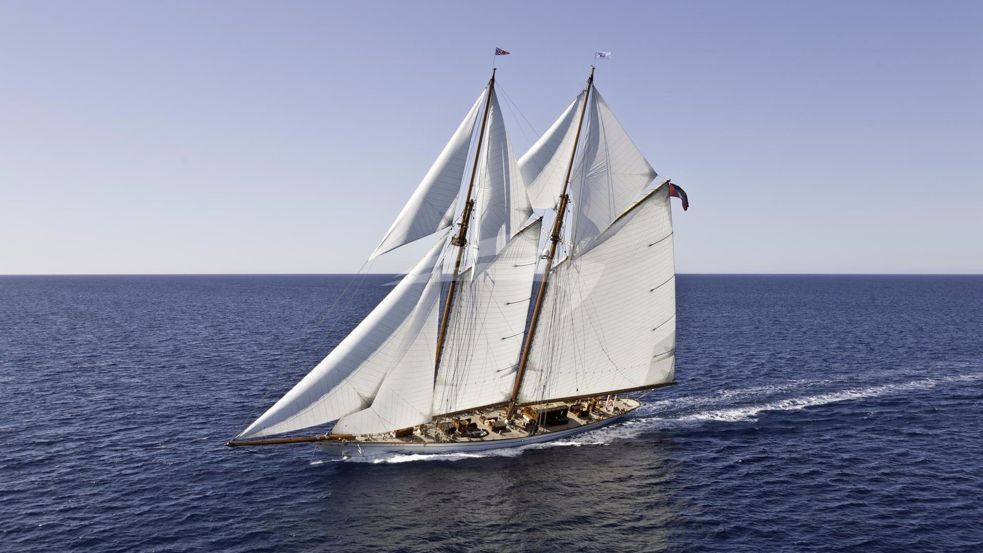 main image of GERMANIA NOVA